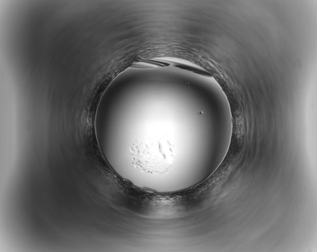 X0000096490613200801241506