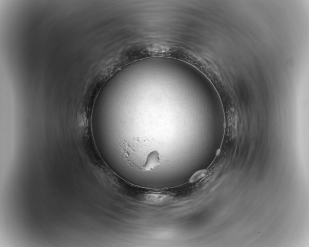X0000096490614200801241506