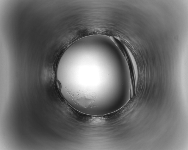 X0000096490617200801241506