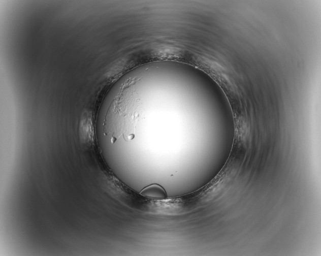 X0000096490622200801241506
