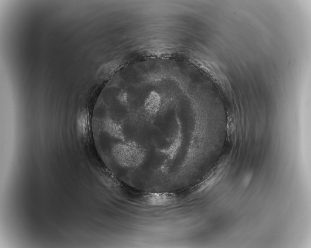 X0000096490623200801241506
