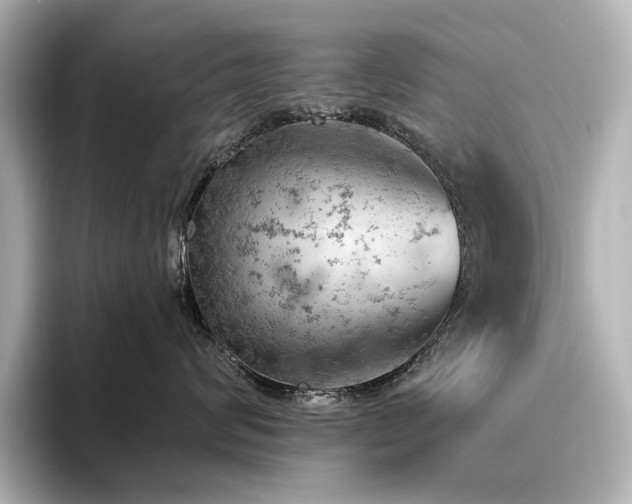 X0000096490624200801241506