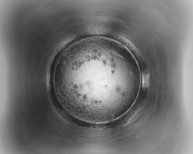 X0000096490627200801241505