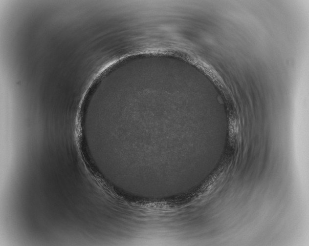 X0000096490628200801241505