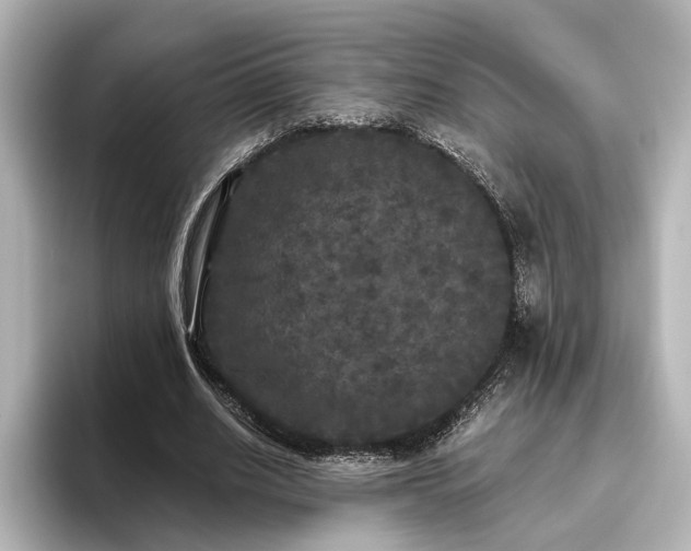 X0000096490630200801241505