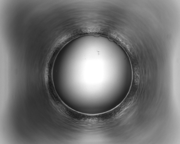 X0000096490631200801241505