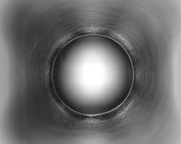 X0000096490633200801241505