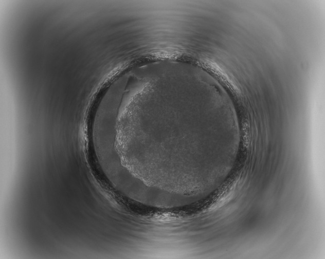 X0000096490634200801241505