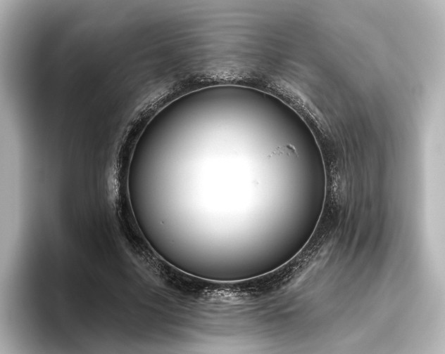 X0000096490635200801241505