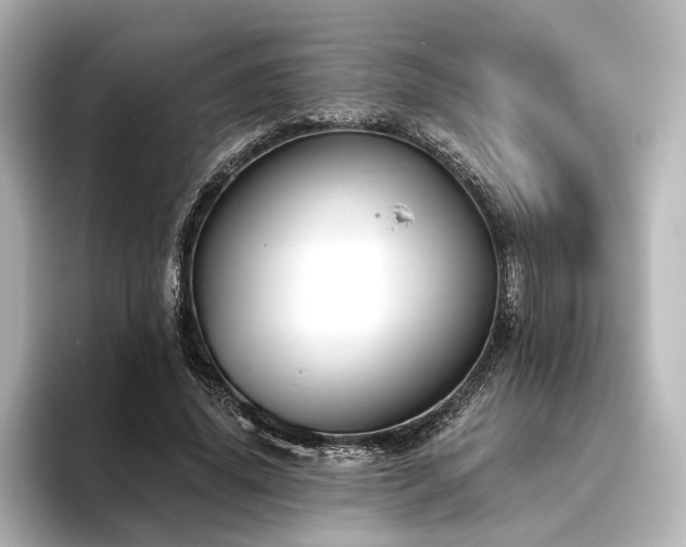 X0000096490636200801241505