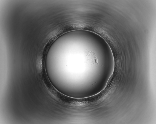 X0000096490638200801241505