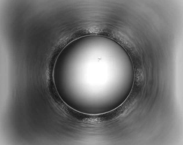 X0000096490639200801241505