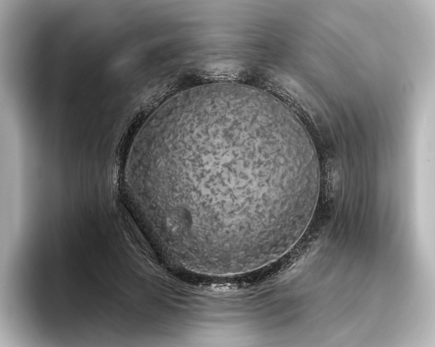 X0000096490641200801241505