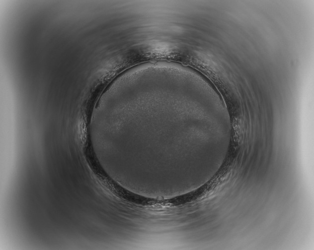X0000096490642200801241505