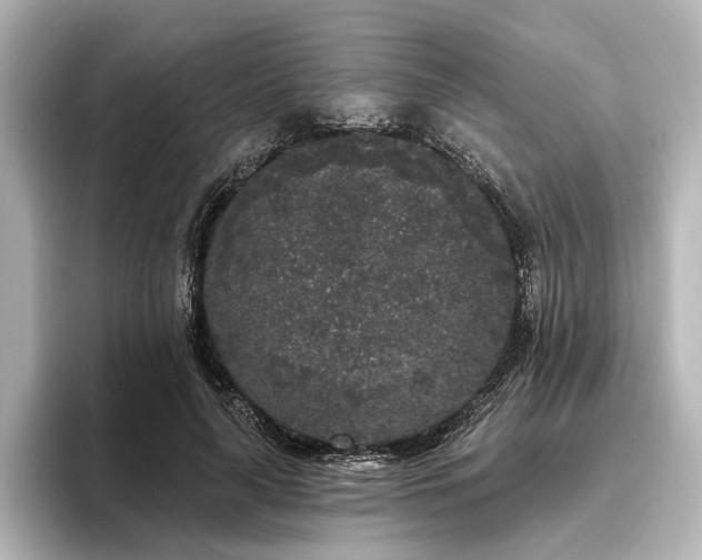 X0000096490643200801241505
