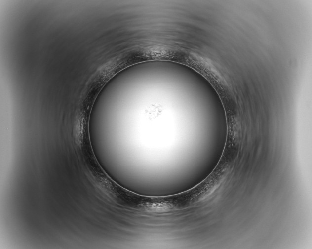 X0000096490645200801241506