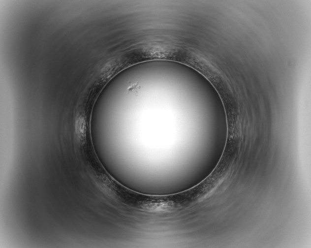 X0000096490646200801241506