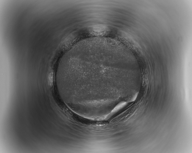 X0000096490647200801241506