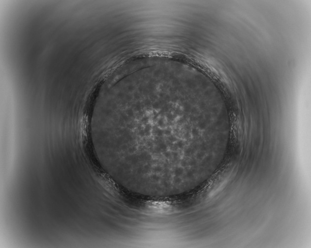 X0000096490649200801241506