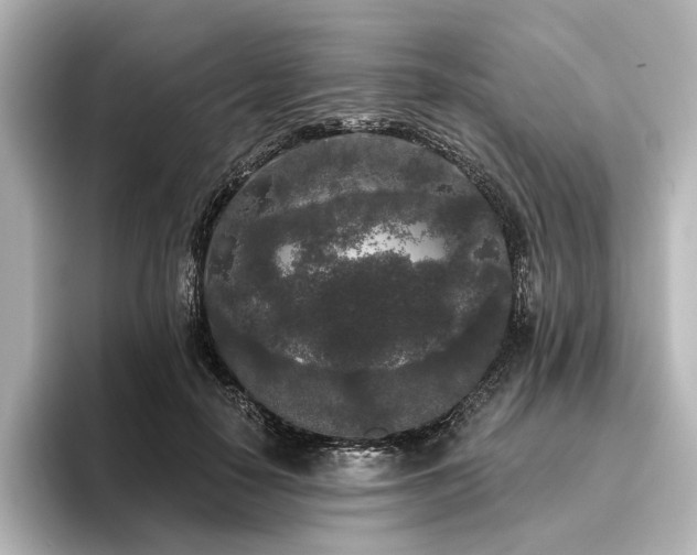 X0000096490650200801241506
