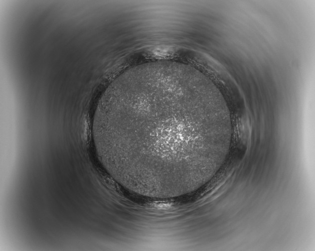 X0000096490651200801241506