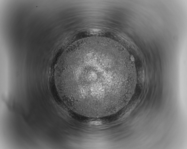 X0000096490653200801241506