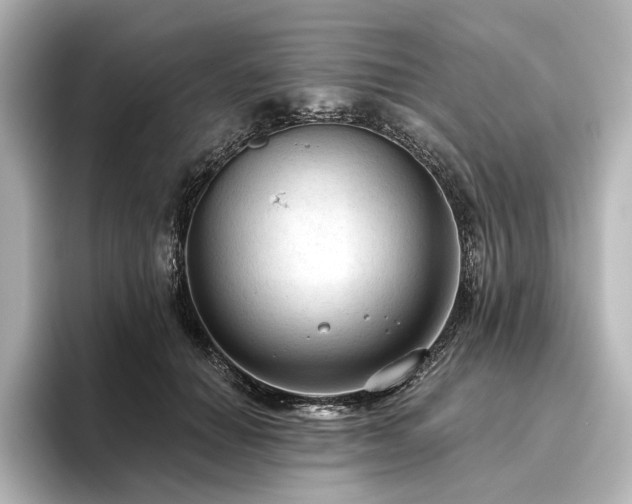 X0000096490654200801241506