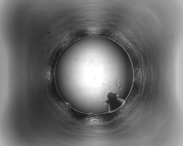 X0000096490655200801241506