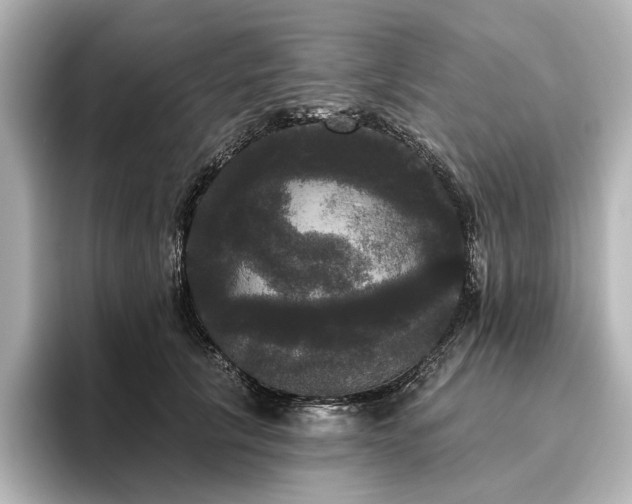 X0000096490657200801241506