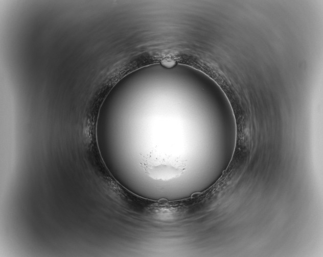 X0000096490658200801241506