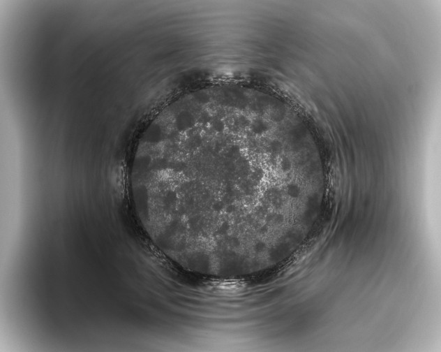 X0000096490659200801241506