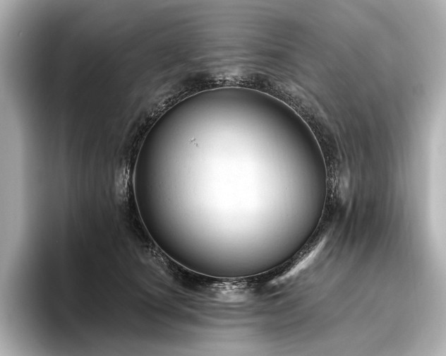 X0000096490660200801241506