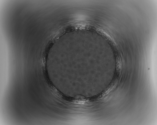 X0000096490661200801241506