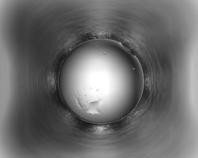 X0000096490662200801241506