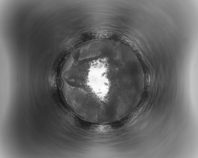 X0000096490663200801241506