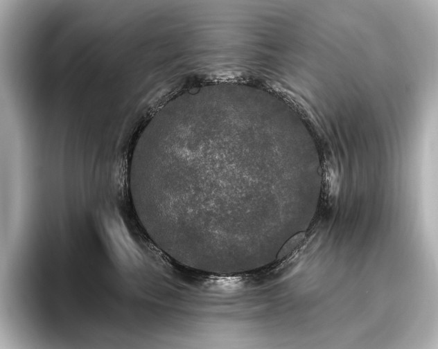 X0000096490665200801241506