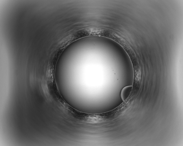 X0000096490666200801241506