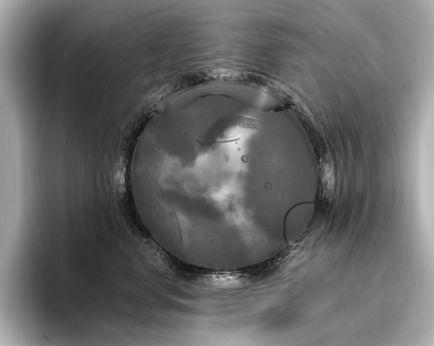 X0000096490668200801241506