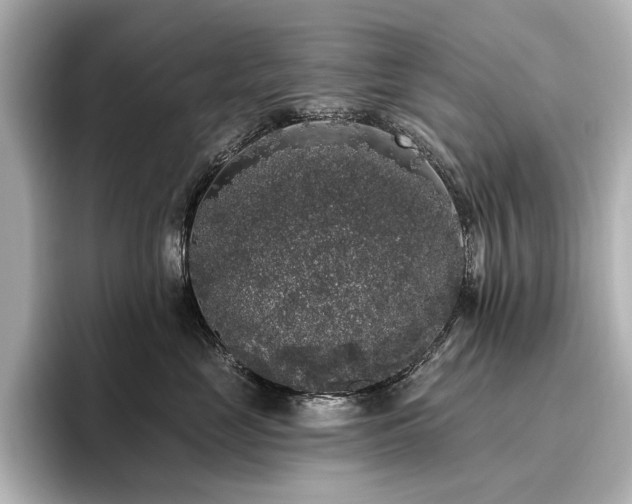 X0000096490669200801241506