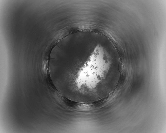 X0000096490671200801241506