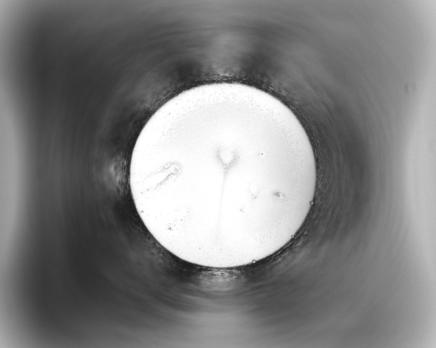 X0000096490672200801241506
