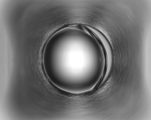 X0000096490673200801241505