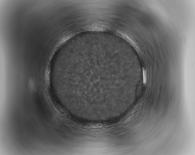 X0000096490675200801241505