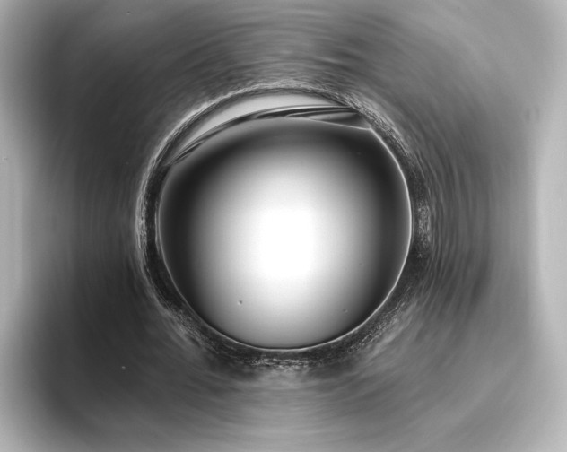 X0000096490676200801241505