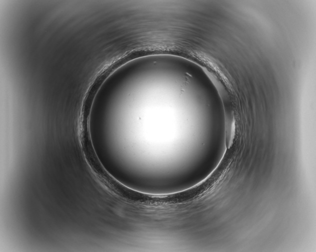 X0000096490677200801241505