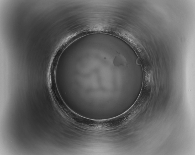 X0000096490678200801241505