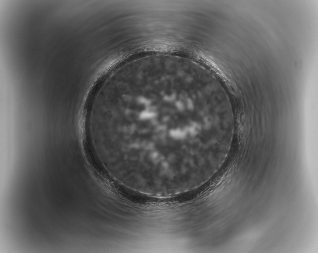 X0000096490679200801241505