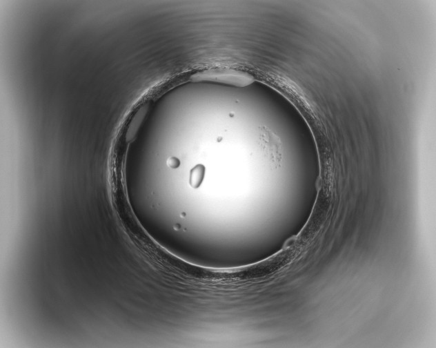 X0000096490680200801241505