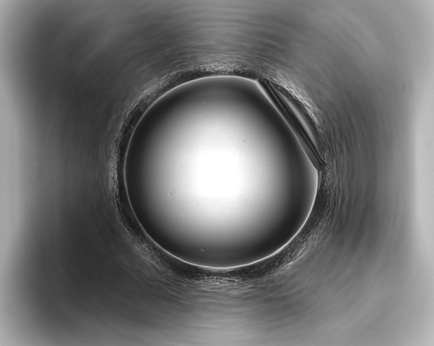 X0000096490681200801241505