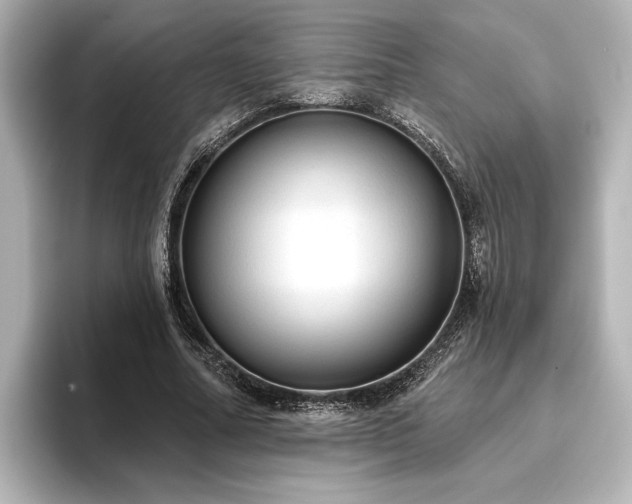 X0000096490682200801241505